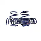 Mustang 5.0L Track Lowering Spring Kit Main Image