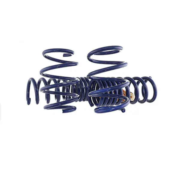 Mustang 5.0L Track Lowering Spring Kit Main Image