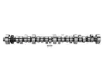Mustang 1985-1995 Small Block V8 Hydraulic Roller Tappet Camshafts Main Image