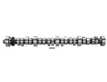 Mustang 1985-1995 Small Block V8 Hydraulic Roller Tappet Camshafts