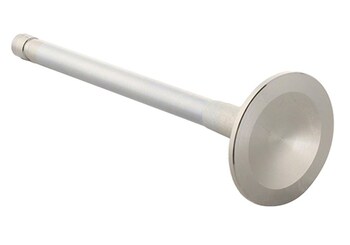 Mustang 1996-2021 Exhaust Valve 302/351W