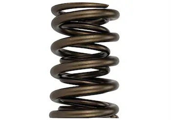 TVS-1734 Valve Spring (1)