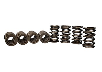 TVS-1734 Valve Springs Set (8)