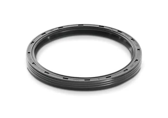 Mustang 1983-2001 302 One Piece Rear Main Oil Seal Main Image